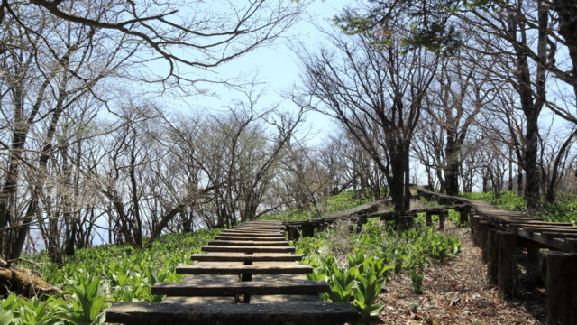 西丹沢・大室山